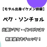 【モデル出身イケメン俳優】ペク・ソンチョル 出演ドラマ・インスタは？ 熱愛彼女もチェック！